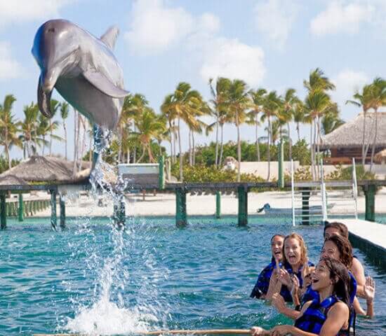 Tour Finder Pro | Reliable Tours Agency in Punta Cana | 2024 - 25