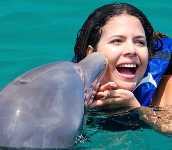 Tour Finder Pro | Reliable Tours Agency in Punta Cana | 2024 - 25