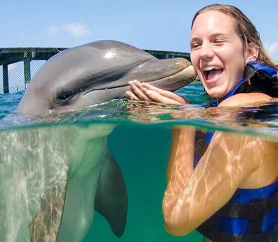 Tour Finder Pro | Reliable Tours Agency in Punta Cana | 2024 - 25