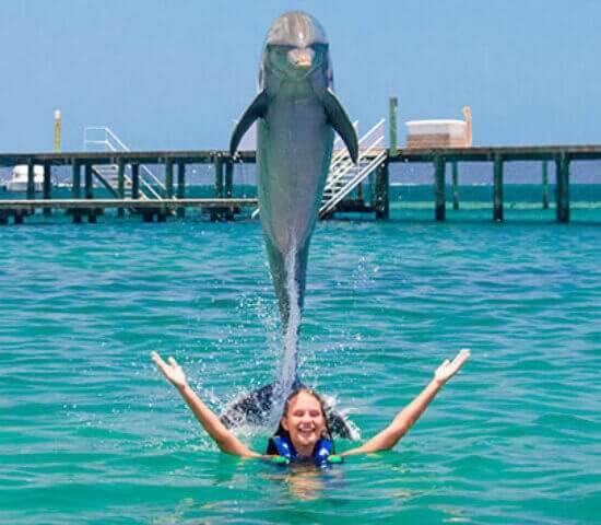 Tour Finder Pro | Reliable Tours Agency in Punta Cana | 2024 - 25