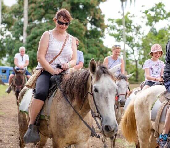 Tour Finder Pro | Reliable Tours Agency in Punta Cana | 2024 - 25