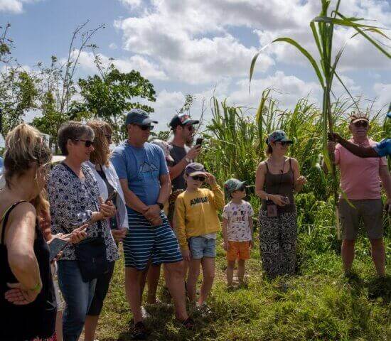 Tour Finder Pro | Reliable Tours Agency in Punta Cana | 2024 - 25