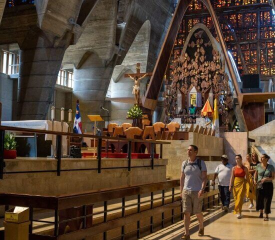 Tour Finder Pro | Reliable Tours Agency in Punta Cana | 2024 - 25