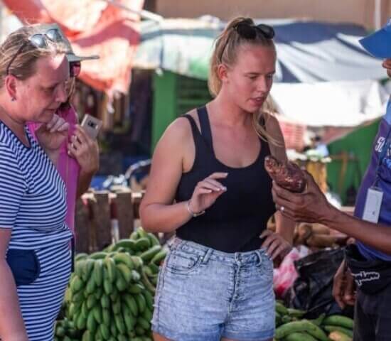 Tour Finder Pro | Reliable Tours Agency in Punta Cana | 2024 - 25