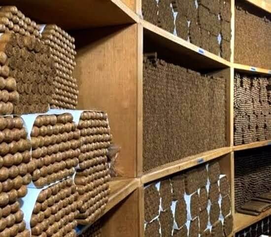 Tour Finder Pro | Reliable Tours Agency in Punta Cana | 2024 - 25