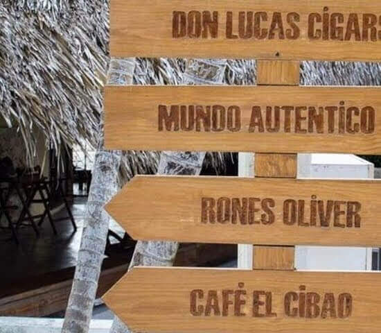 Tour Finder Pro | Reliable Tours Agency in Punta Cana | 2024 - 25