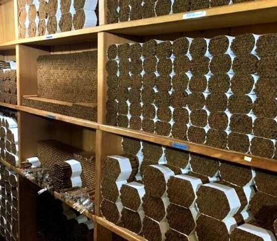 Tour Finder Pro | Reliable Tours Agency in Punta Cana | 2024 - 25