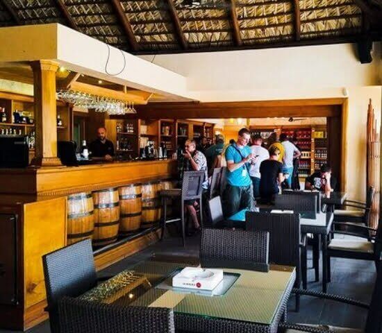 Tour Finder Pro | Reliable Tours Agency in Punta Cana | 2024 - 25