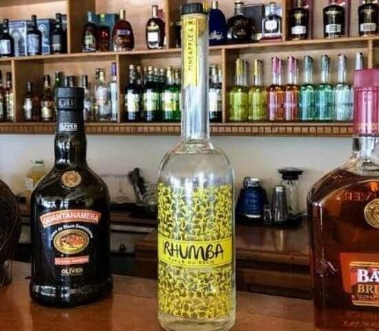 Tour Finder Pro | Reliable Tours Agency in Punta Cana | 2024 - 25