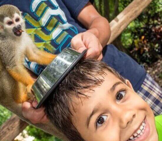 Tour Finder Pro | Reliable Tours Agency in Punta Cana | 2024 - 25