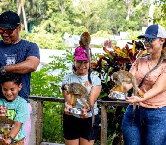 Tour Finder Pro | Reliable Tours Agency in Punta Cana | 2024 - 25