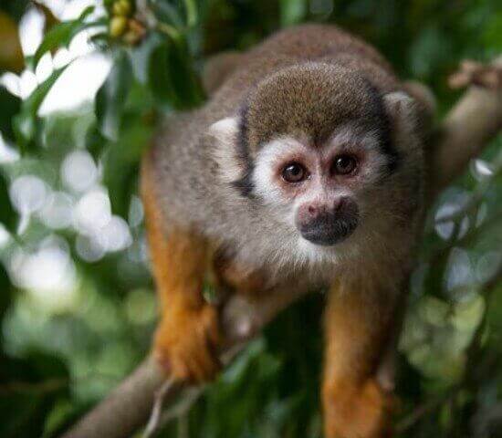 Tour Finder Pro | Reliable Tours Agency in Punta Cana | 2024 - 25