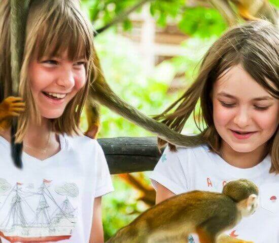 Tour Finder Pro | Reliable Tours Agency in Punta Cana | 2024 - 25