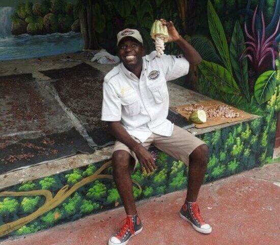 Tour Finder Pro | Reliable Tours Agency in Punta Cana | 2024 - 25