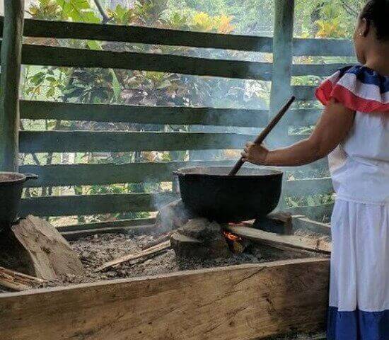 Tour Finder Pro | Reliable Tours Agency in Punta Cana | 2024 - 25