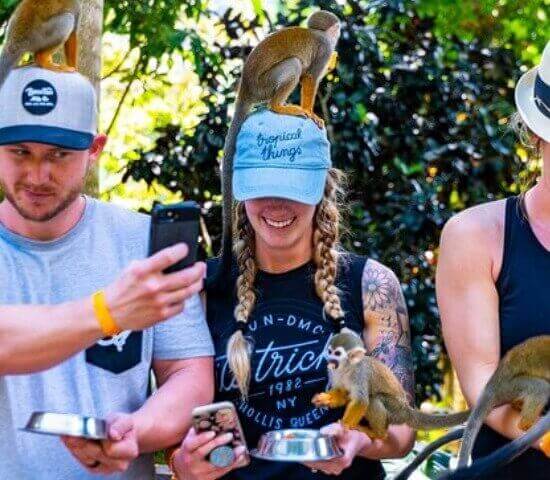 Tour Finder Pro | Reliable Tours Agency in Punta Cana | 2024 - 25