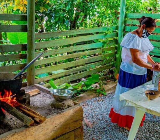 Tour Finder Pro | Reliable Tours Agency in Punta Cana | 2024 - 25