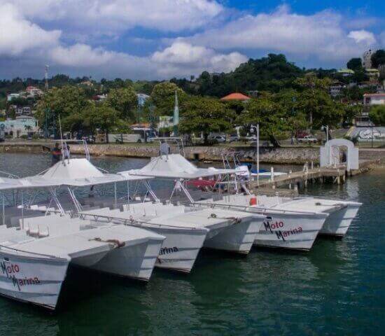 Tour Finder Pro | Reliable Tours Agency in Punta Cana | 2024 - 25