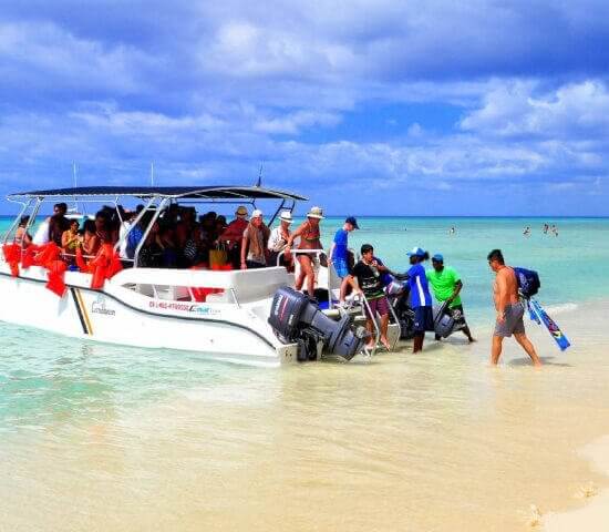 Tour Finder Pro | Reliable Tours Agency in Punta Cana | 2024 - 25