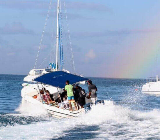 Tour Finder Pro | Reliable Tours Agency in Punta Cana | 2024 - 25