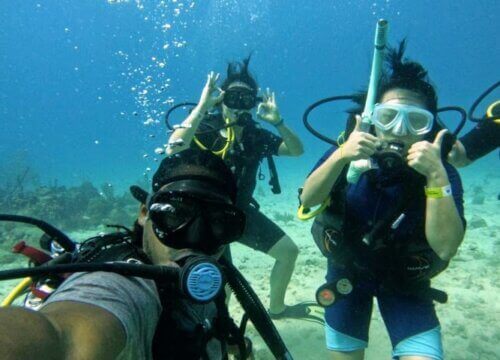 Scuba Diving at Catalina Island