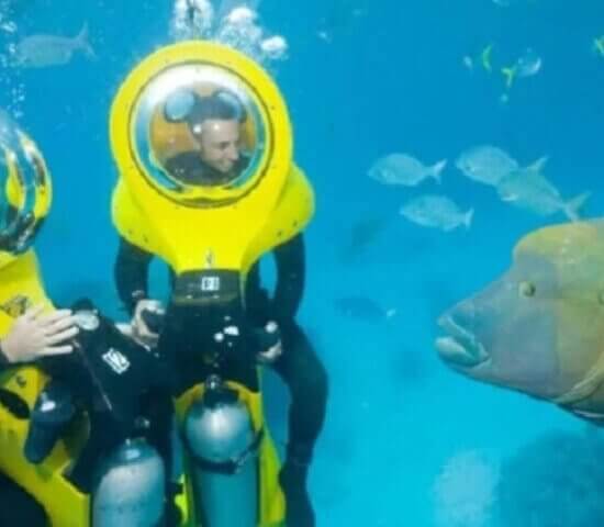 Tour Finder Pro | Reliable Tours Agency in Punta Cana | 2024 - 25