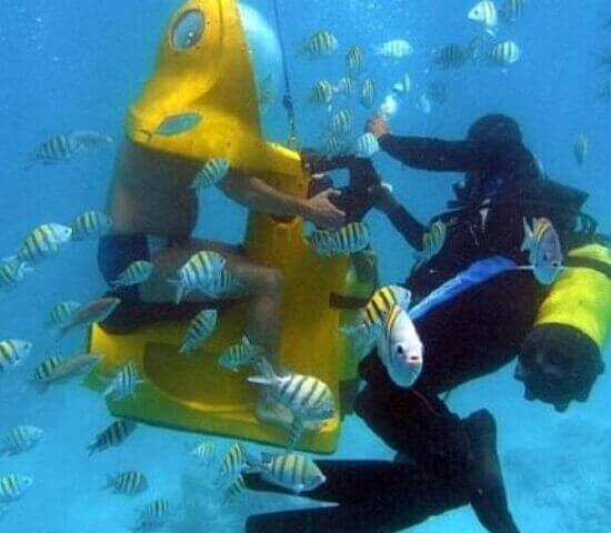 Tour Finder Pro | Reliable Tours Agency in Punta Cana | 2024 - 25