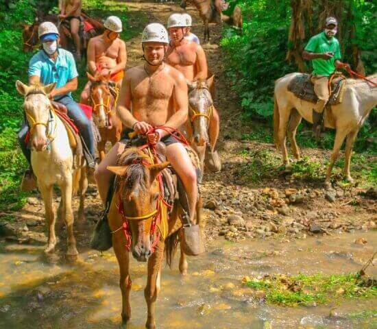 Tour Finder Pro | Reliable Tours Agency in Punta Cana | 2024 - 25