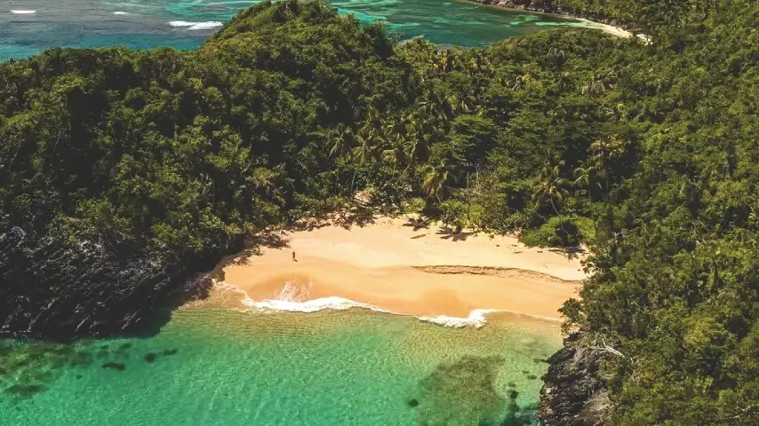 Tour Finder | Reliable Tours and Adventures in Punta Cana | 2024 - 25